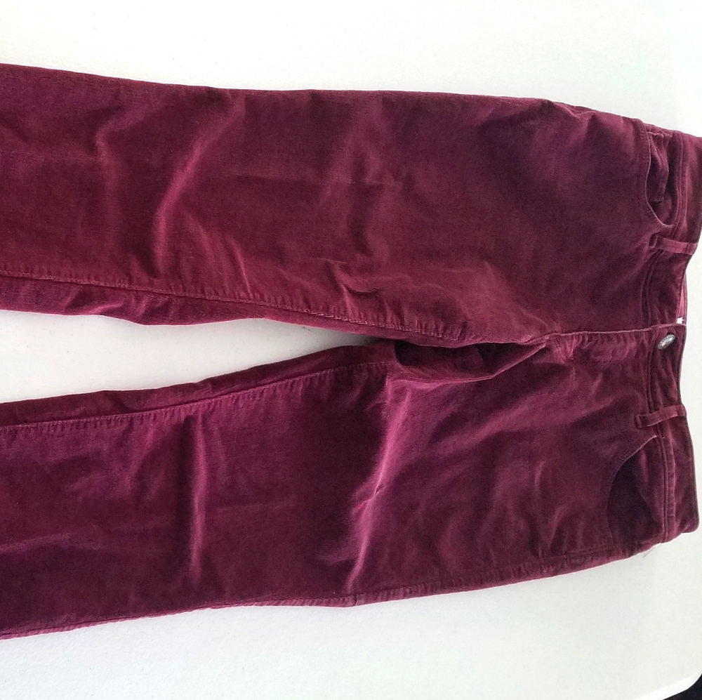 Wine color corduroy pants by Ann Taylor Loft